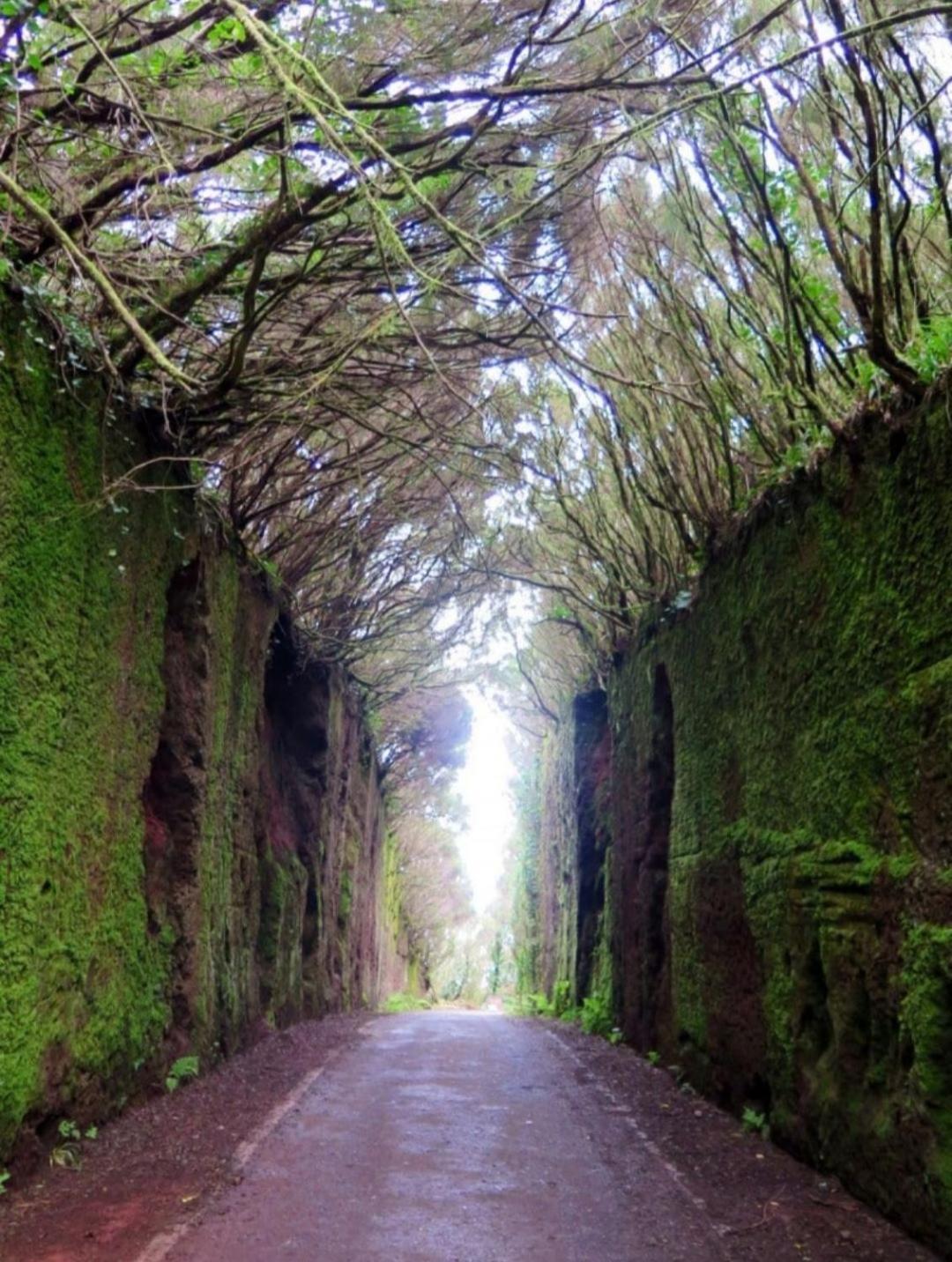 Armonia Park, Tenerife Bajamar  Εξωτερικό φωτογραφία